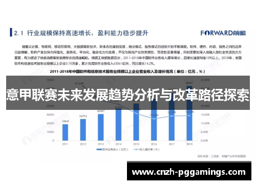 意甲联赛未来发展趋势分析与改革路径探索