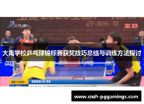 大禹学校乒乓球锦标赛获奖技巧总结与训练方法探讨