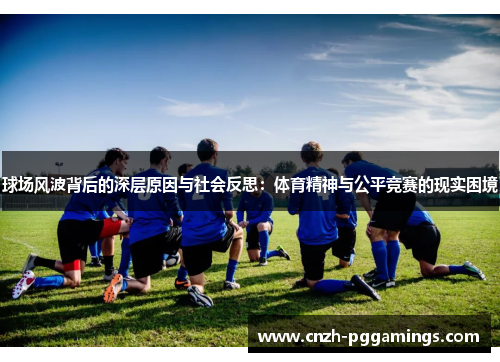 球场风波背后的深层原因与社会反思：体育精神与公平竞赛的现实困境