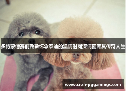 多特蒙德赛前致敬怀念泰迪的温情时刻深情回顾其传奇人生