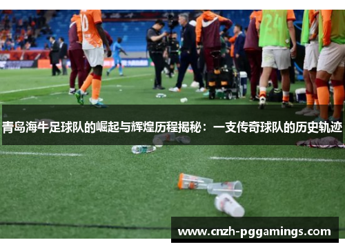 青岛海牛足球队的崛起与辉煌历程揭秘:一支传奇球队的历史轨迹 青岛海牛足球队的崛起与辉煌历程揭秘:一支传奇球队的历史轨迹