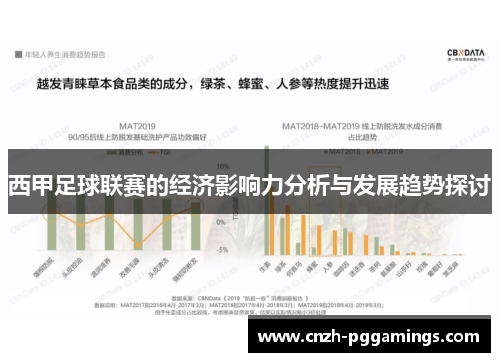 西甲足球联赛的经济影响力分析与发展趋势探讨
