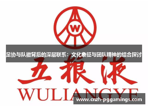 足协与队徽背后的深层联系：文化象征与团队精神的结合探讨