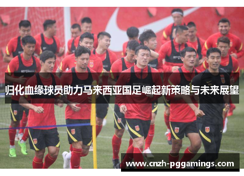 归化血缘球员助力马来西亚国足崛起新策略与未来展望