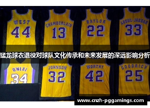 猛龙球衣退役对球队文化传承和未来发展的深远影响分析