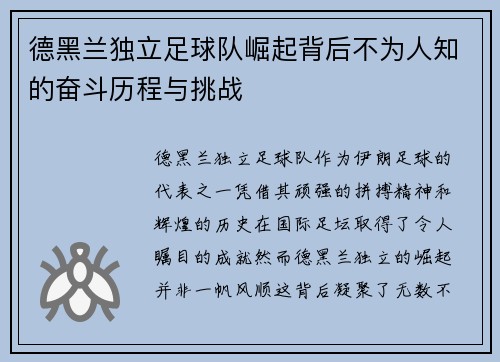 德黑兰独立足球队崛起背后不为人知的奋斗历程与挑战